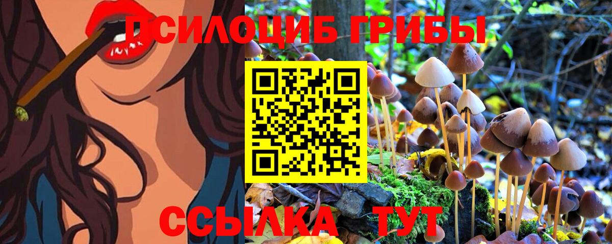 Галлюциногенные грибы Cubensis Карасук