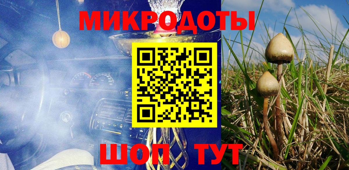 Галлюциногенные грибы Psilocybe  продажа наркотиков  Карасук  Вход с VPN 
